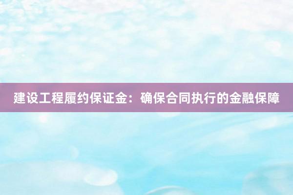 建设工程履约保证金：确保合同执行的金融保障